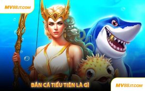 Bắn Cá Tiểu Tiên Là Gì
