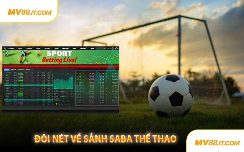 Đôi Nét Về Sảnh Saba Thể Thao