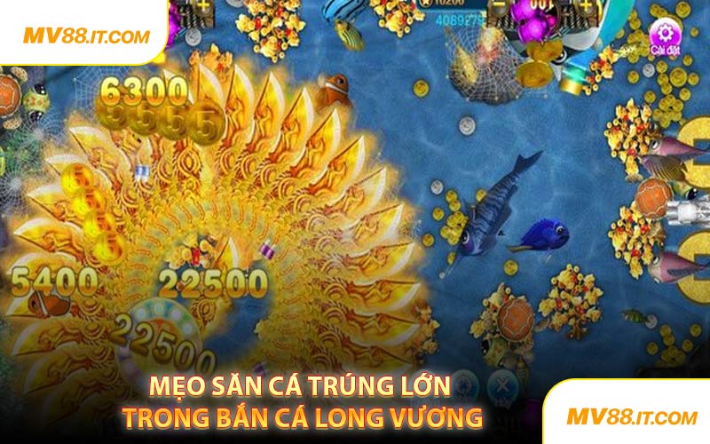 Mẹo Săn Cá Trúng Lớn Trong Bắn Cá Long Vương