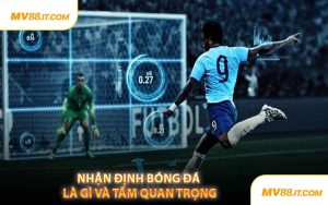 Nhận Định Bóng Đá Là Gì Và Tầm Quan Trọng