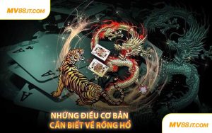 Những Điều Cơ Bản Cần Biết Về Rồng Hổ