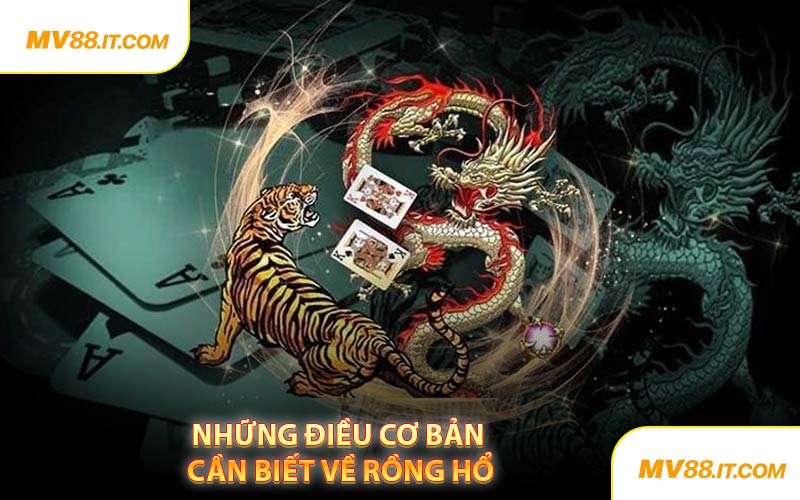 Những Điều Cơ Bản Cần Biết Về Rồng Hổ