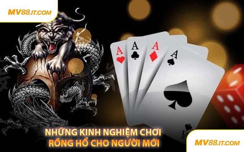Những Kinh Nghiệm Chơi Rồng Hổ Cho Người Mới