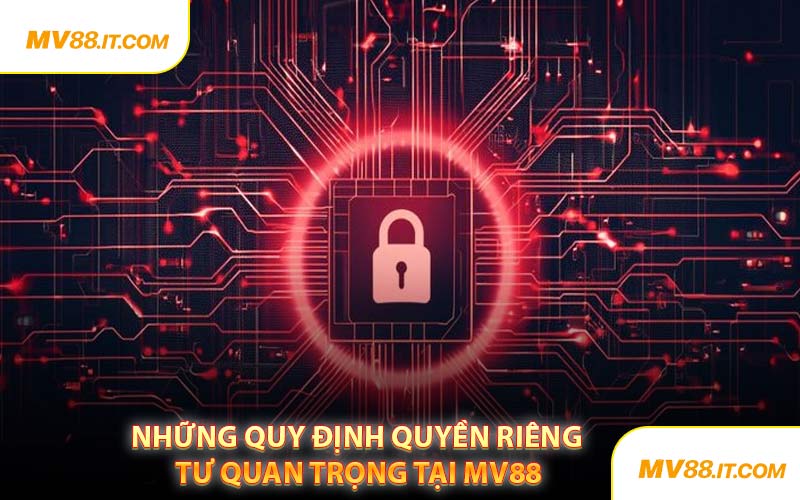 Những Quy Định Quyền Riêng Tư Quan Trọng Tại MV88