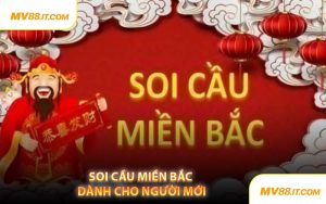 Soi Cầu Miền Bắc Dành Cho Người Mới